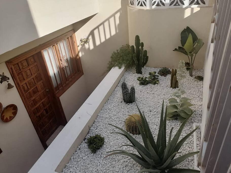 Casa Las Pencas De Margarita Лос Реалехос Екстериор снимка